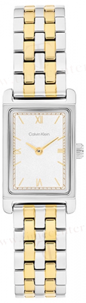 Calvin Klein CK25100199 karóra